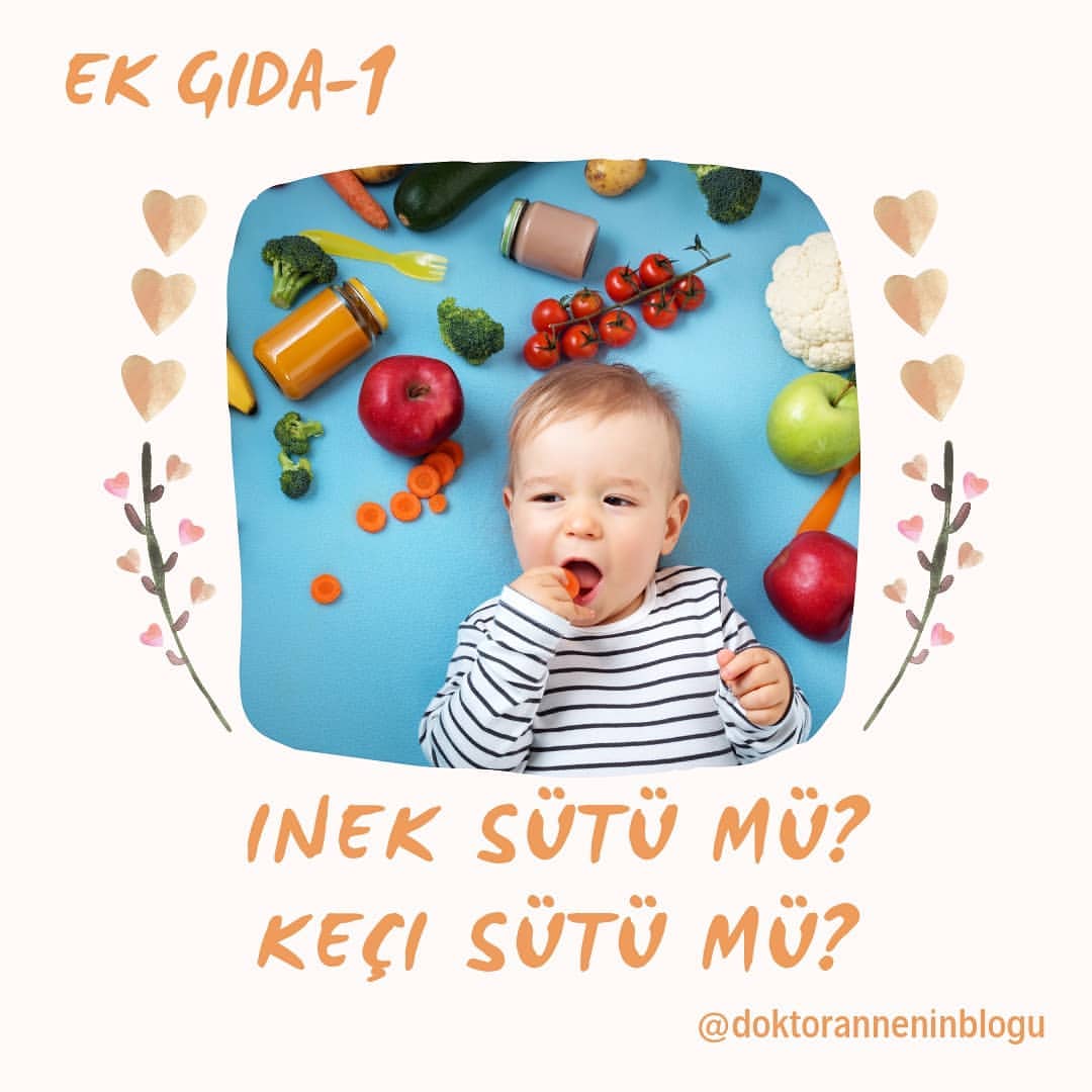 Ek gıda: inek sütü mü, keçi sütü mü?