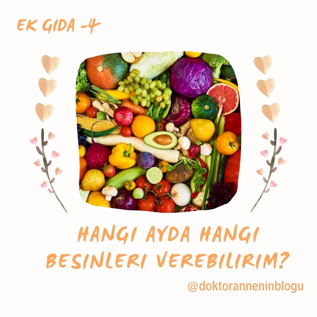 Hangi ayda hangi besinleri verebilirim?